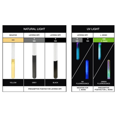 InSite™ L.mono Glo - Starter Pack with Free UV Torch