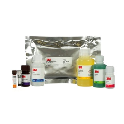 Egg White Protein ELISA Kit