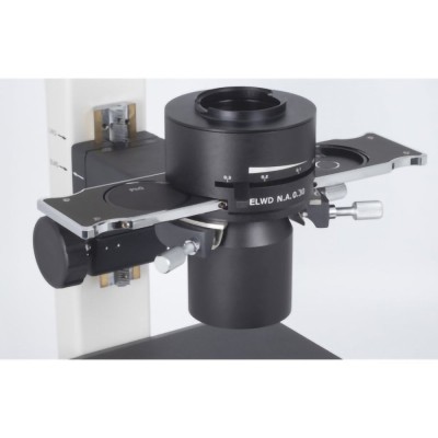 AE31E Inverted Binocular Microscope