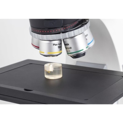 Panthera TEC MAT BD (6x4) Microscope