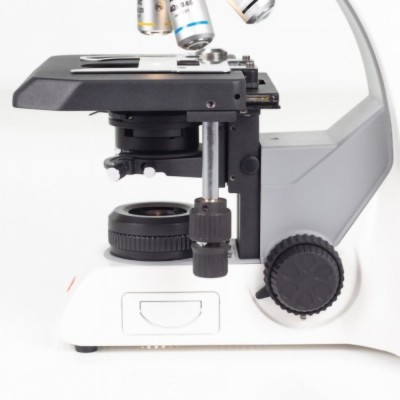 Panthera DL Binocular Microscope