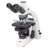 Phase Microscopes