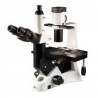 Inverted Microscopes