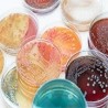 Microbiological