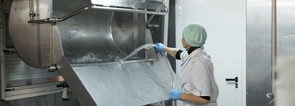 Female Worker Washing Tank at Cheese and Dairy Factory